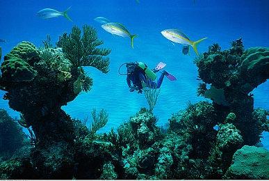 《昆特牌》全新单人游戏将于今年末推出 不登陆主机